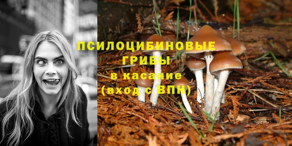 героин Карпинск